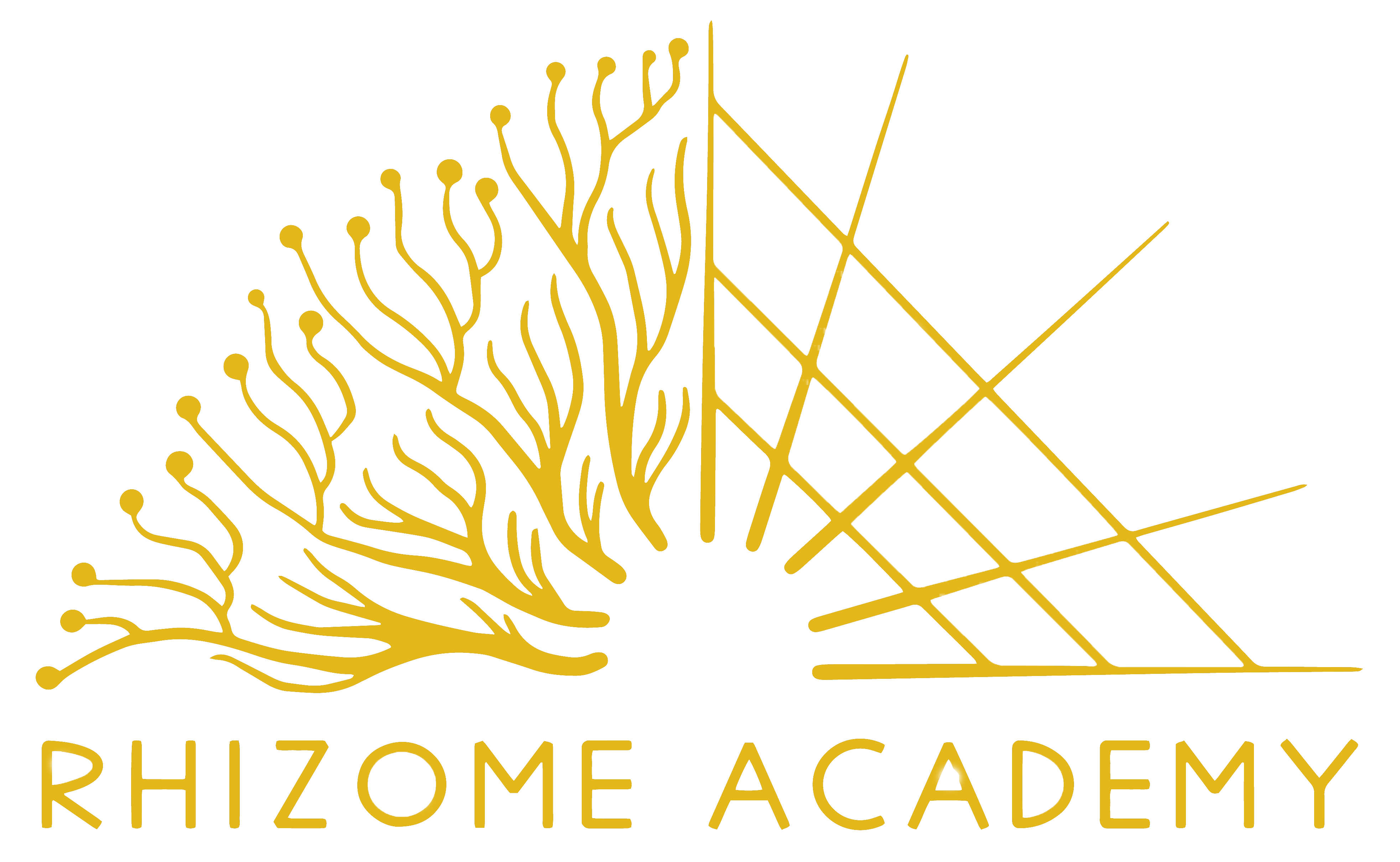 Rhizome Academy